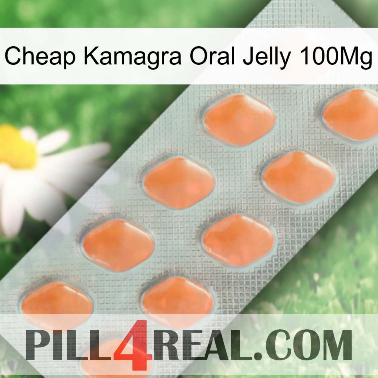 Cheap Kamagra Oral Jelly 100Mg 26